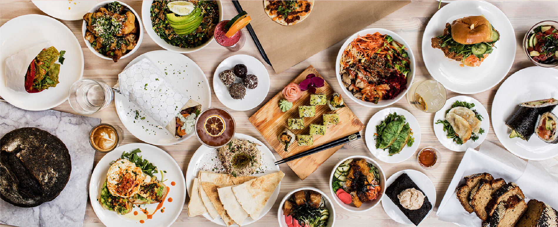 Body System and Functions